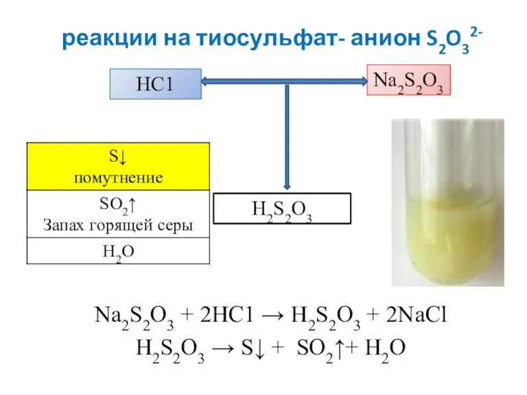 реакции на тиосульфат- анион S2O32- Na2S2O3 + 2HC1 → H2S2O3 + 2NaCl