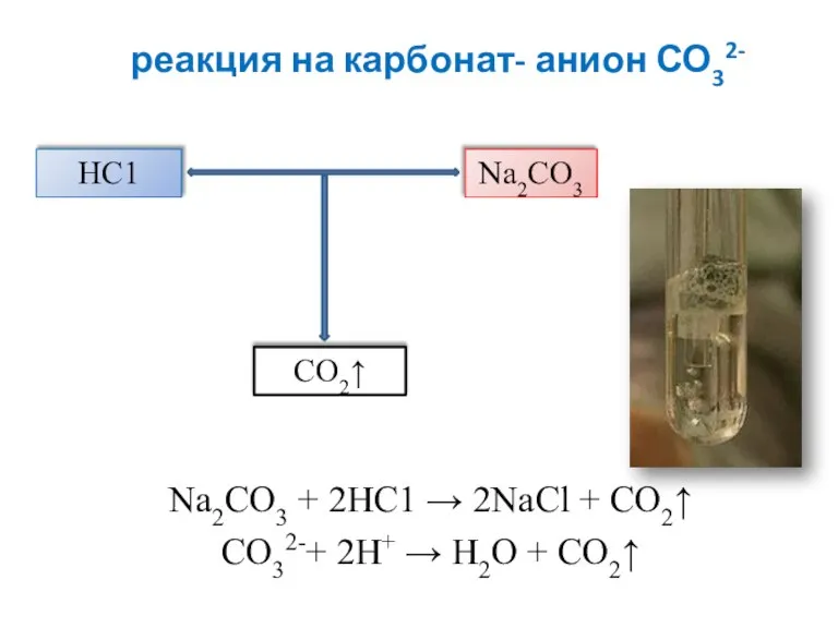 реакция на карбонат- анион СО32- Na2CO3 + 2HC1 → 2NaCl + CO2↑