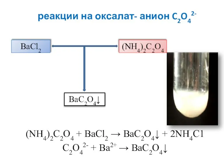 реакции на оксалат- анион C2O42- (NH4)2C2O4 + BaCl2 → ВаС2O4↓ + 2NH4C1