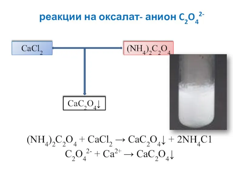 реакции на оксалат- анион C2O42- (NH4)2C2O4 + CaCl2 → CаС2O4↓ + 2NH4C1