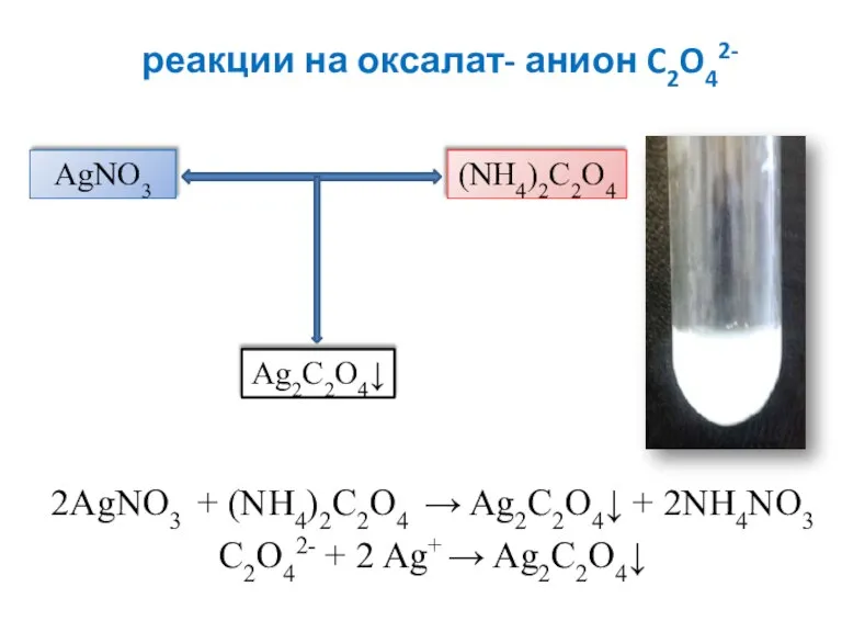 реакции на оксалат- анион C2O42- 2AgNO3 + (NH4)2C2O4 → Ag2С2O4↓ + 2NH4NO3