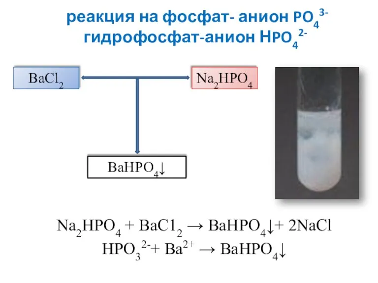 реакция на фосфат- анион PO43- гидрофосфат-анион НPO42- Na2HPO4 + ВаС12 → ВаНРО4↓+