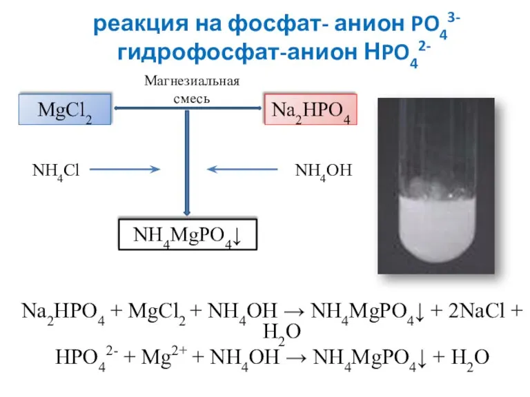 реакция на фосфат- анион PO43- гидрофосфат-анион НPO42- Na2HPO4 + MgCl2 + NH4OH