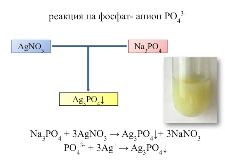 реакция на фосфат- анион PO43- Na3PO4 + 3AgNO3 → Ag3PO4↓+ 3NaNO3 PO43-