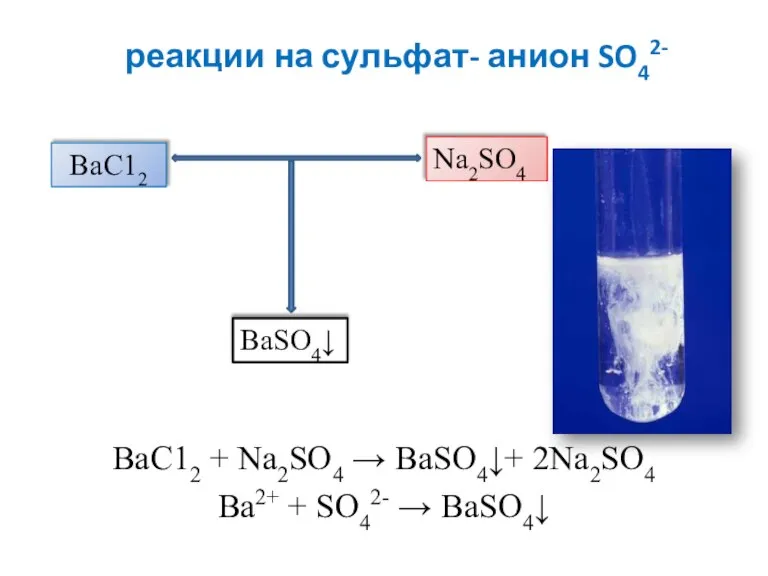 реакции на сульфат- анион SO42- ВаС12 + Na2SO4 → BaSO4↓+ 2Na2SO4 Ва2+