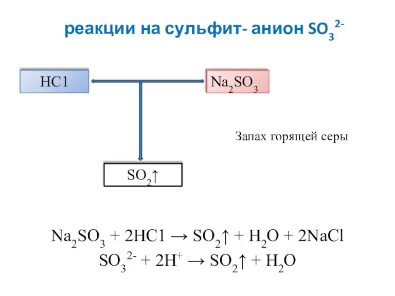 реакции на сульфит- анион SO32- Na2SO3 + 2НС1 → SO2↑ + Н2О