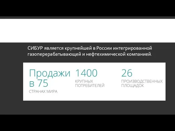 СИБУР является крупнейшей в России интегрированной газоперерабатывающей и нефтехимической компанией.