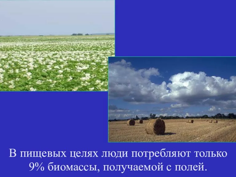 В пищевых целях люди потребляют только 9% биомассы, получаемой с полей.