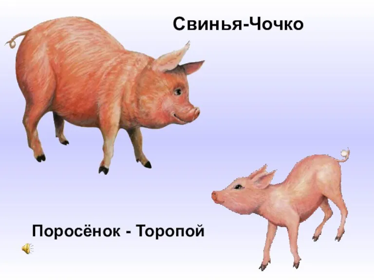 Свинья-Чочко Поросёнок - Торопой