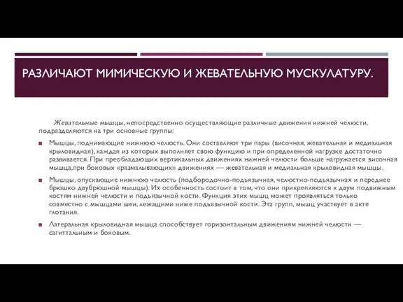 РАЗЛИЧАЮТ МИМИЧЕСКУЮ И ЖЕВАТЕЛЬНУЮ МУСКУЛАТУРУ. Жевательные мышцы, непосредственно осуществляющие различные движения нижней