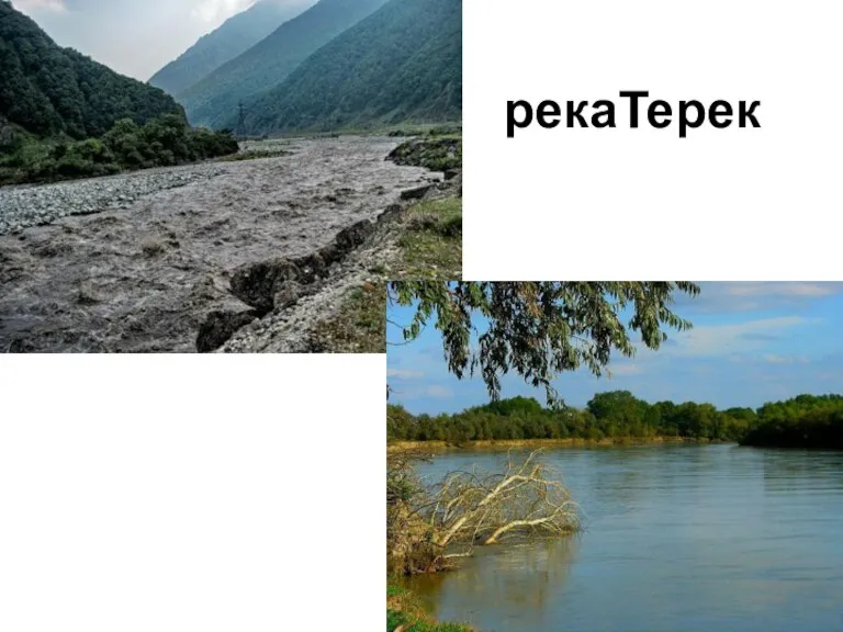 рекаТерек