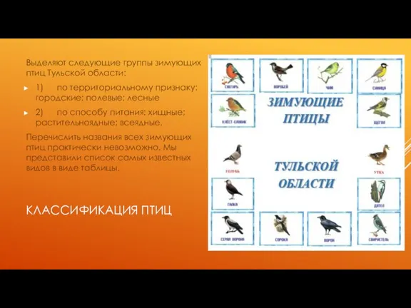 КЛАССИФИКАЦИЯ ПТИЦ Выделяют следующие группы зимующих птиц Тульской области: 1) по территориальному