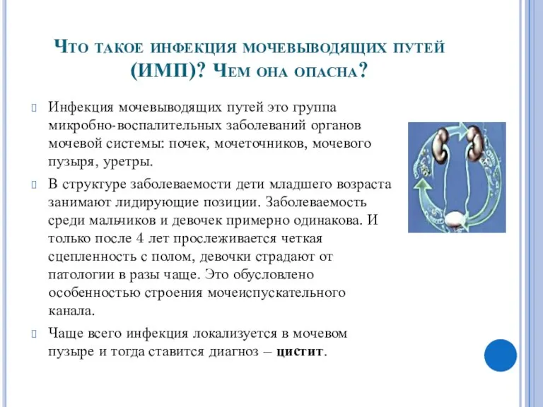 Что такое инфекция мочевыводящих путей (ИМП)? Чем она опасна? Инфекция мочевыводящих путей