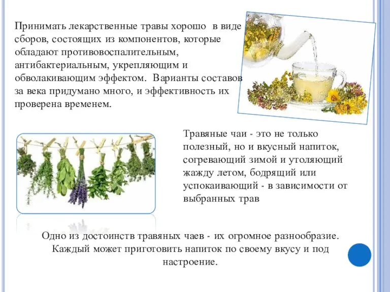 Принимать лекарственные травы хорошо в виде сборов, состоящих из компонентов, которые обладают