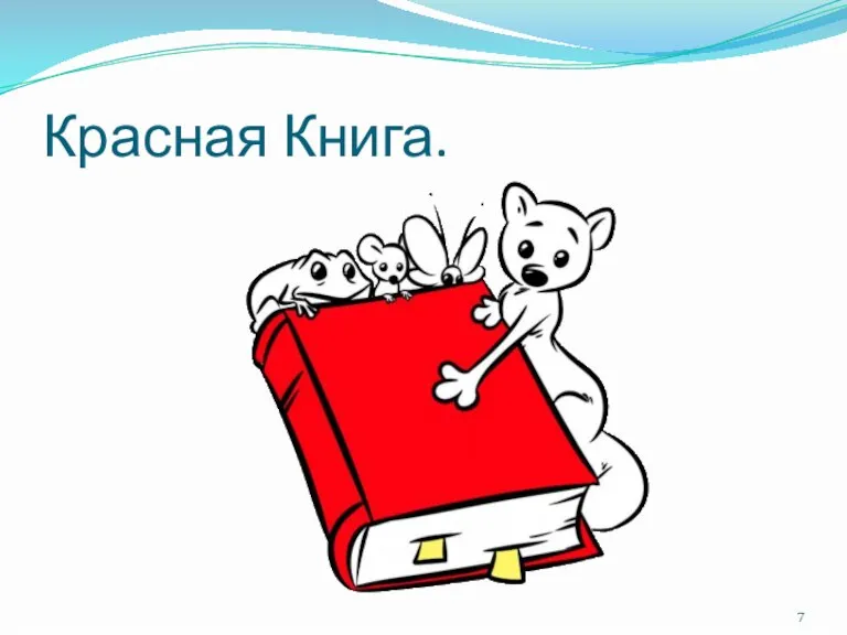 Красная Книга.