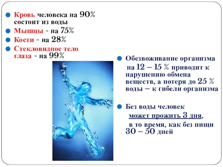 Кровь человека на 90% состоит из воды Мышцы - на 75% Кости
