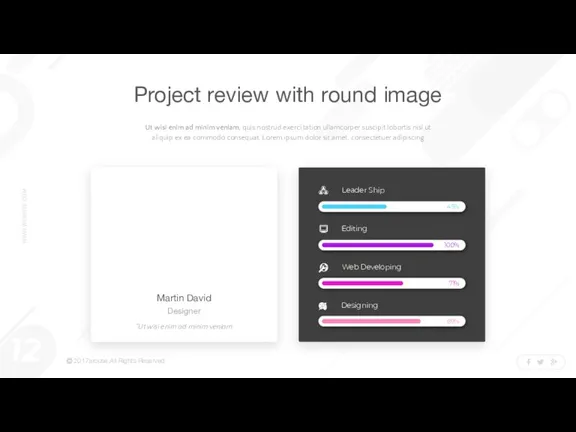 Project review with round image Ut wisi enim ad minim veniam, quis