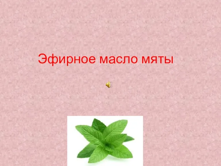 Эфирное масло мяты