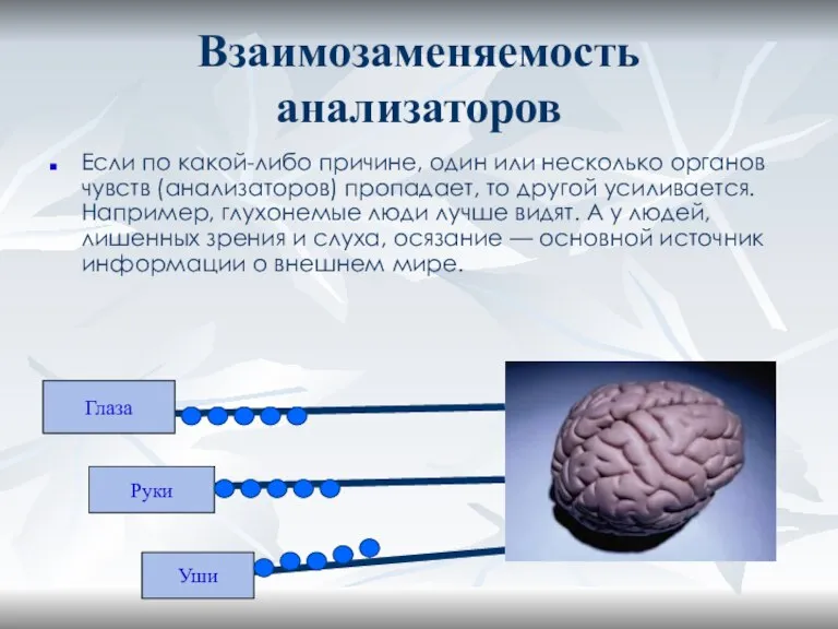 Взаимозаменяемость анализаторов Если по какой-либо причине, один или несколько органов чувств (анализаторов)