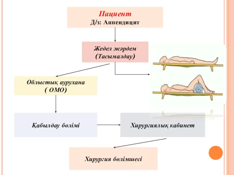 Пациент Д/з: Аппендицит Жедел жәрдем (Тасымалдау) Облыстық аурухана ( ОМО) Қабылдау бөлімі Хирургиялық кабинет Хирургия бөлімшесі