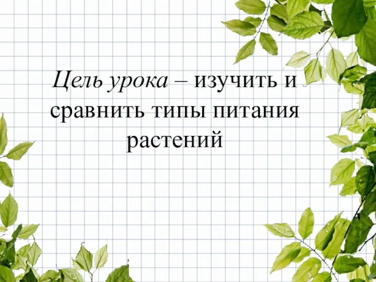 Цель урока – изучить и сравнить типы питания растений