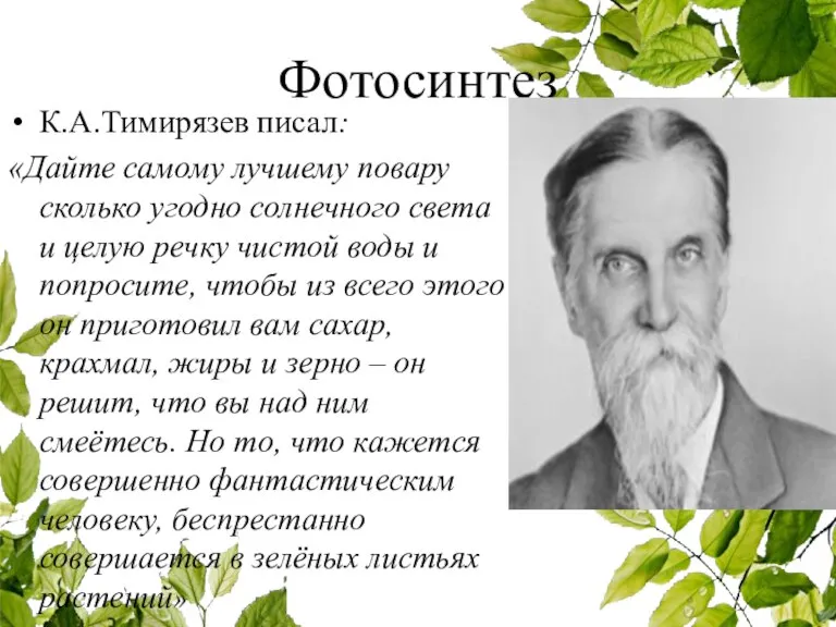 Фотосинтез К.А.Тимирязев писал: «Дайте самому лучшему повару сколько угодно солнечного света и