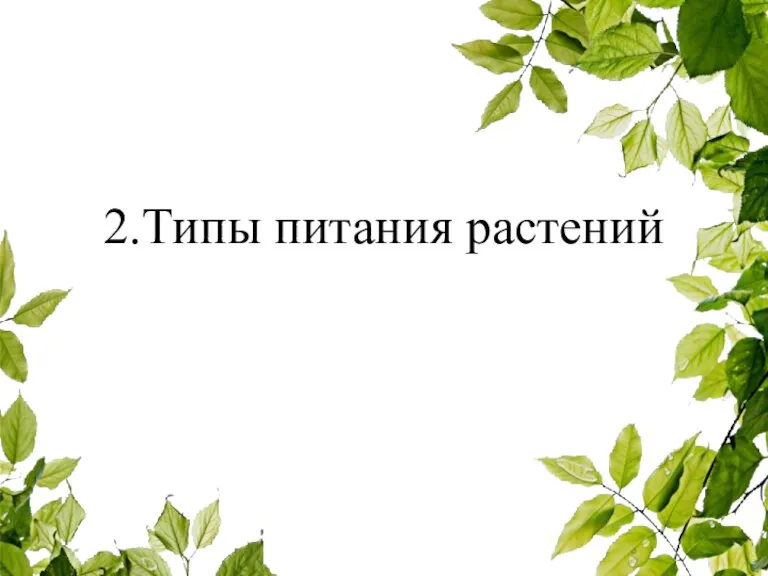 2.Типы питания растений