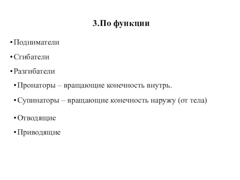 3.По функции Подниматели Сгибатели Разгибатели Пронаторы – вращающие конечность внутрь. Супинаторы –