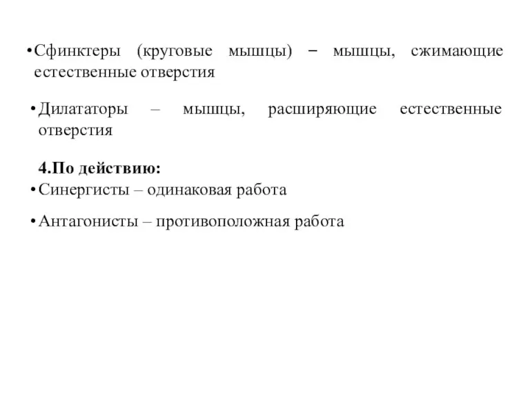 Сфинктеры (круговые мышцы) – мышцы, сжимающие естественные отверстия Дилататоры – мышцы, расширяющие