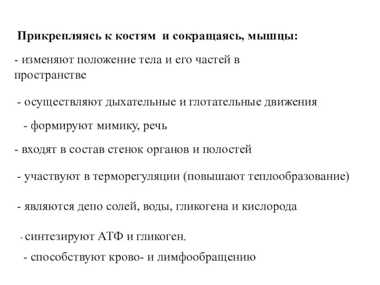 Прикрепляясь к костям и сокращаясь, мышцы: - изменяют положение тела и его