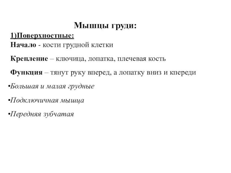 Мышцы груди: 1)Поверхностные: Начало - кости грудной клетки Крепление – ключица, лопатка,