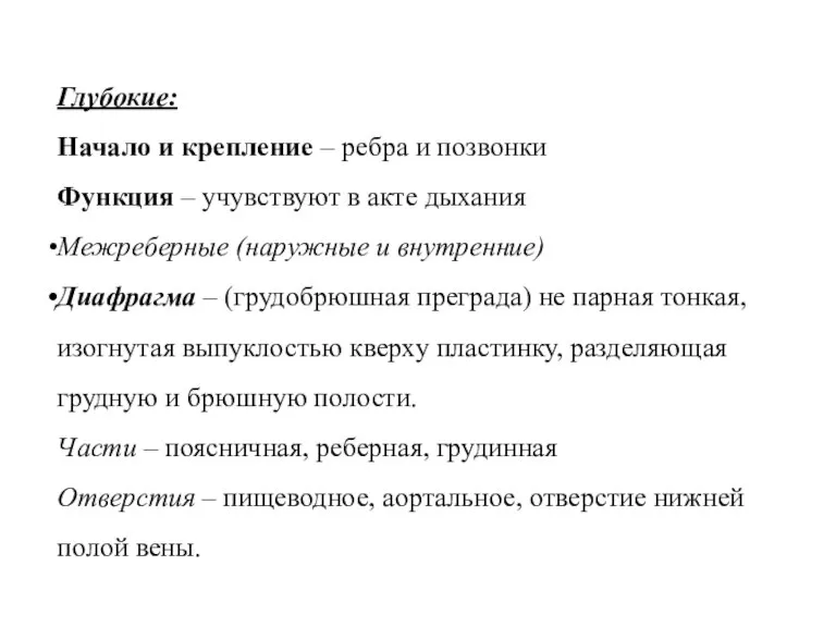 Глубокие: Начало и крепление – ребра и позвонки Функция – учувствуют в