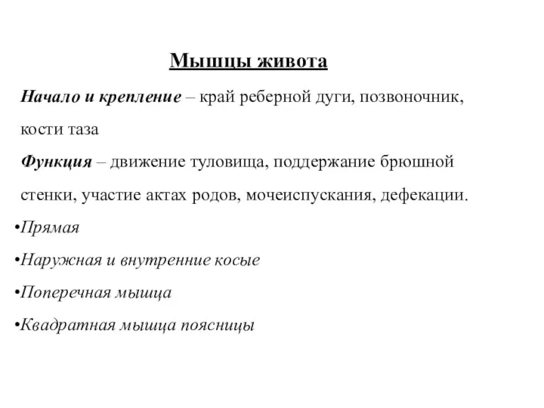 Мышцы живота Начало и крепление – край реберной дуги, позвоночник, кости таза