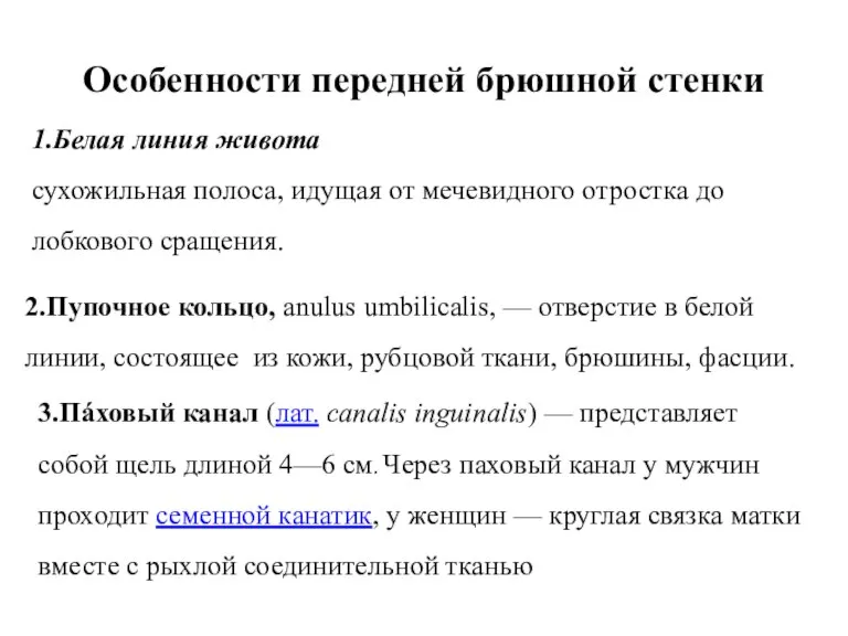 Особенности передней брюшной стенки 1.Белая линия живота сухожильная полоса, идущая от мечевидного