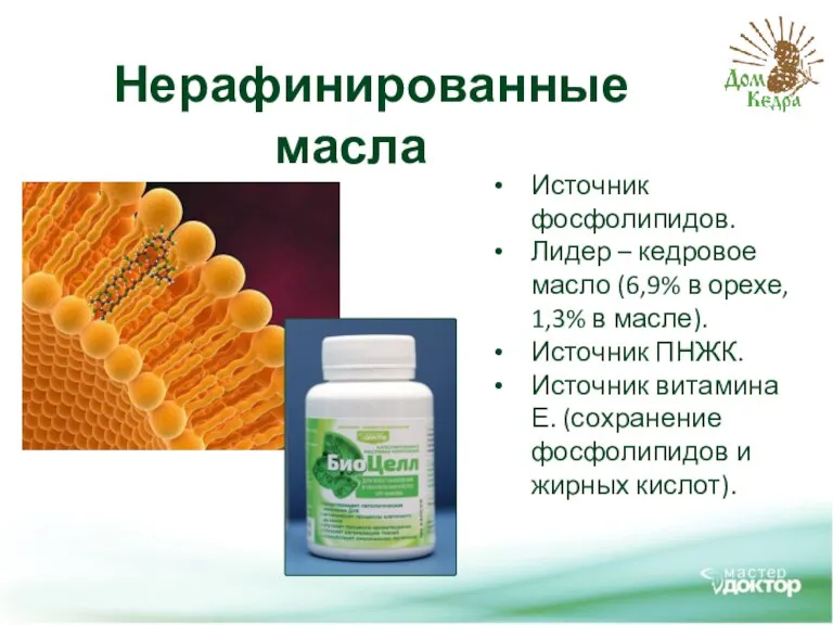 Нерафинированные масла Источник фосфолипидов. Лидер – кедровое масло (6,9% в орехе, 1,3%