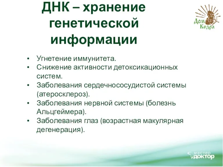 ДНК – хранение генетической информации Угнетение иммунитета. Снижение активности детоксикационных систем. Заболевания