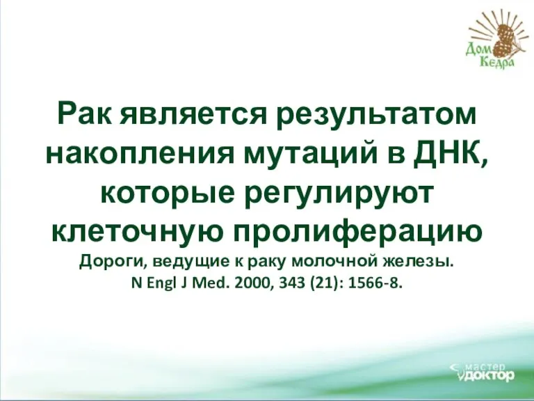 Рак является результатом накопления мутаций в ДНК, которые регулируют клеточную пролиферацию Дороги,