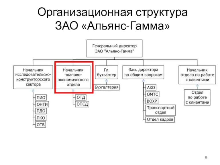 Организационная структура ЗАО «Альянс-Гамма»