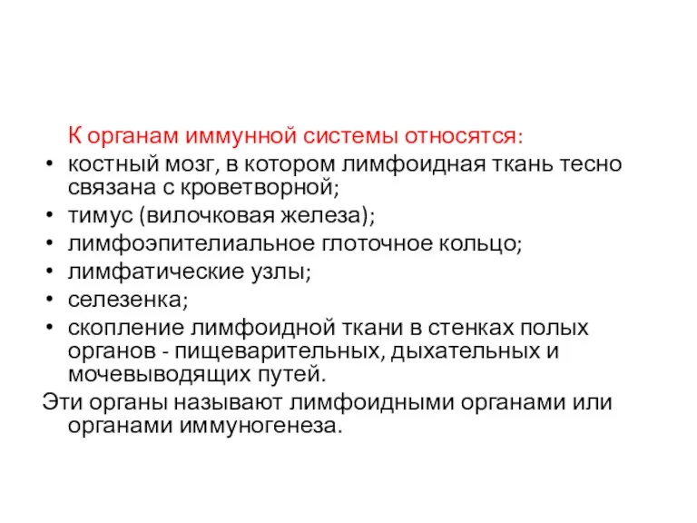 К органам иммунной системы относятся: костный мозг, в котором лимфоидная ткань тесно