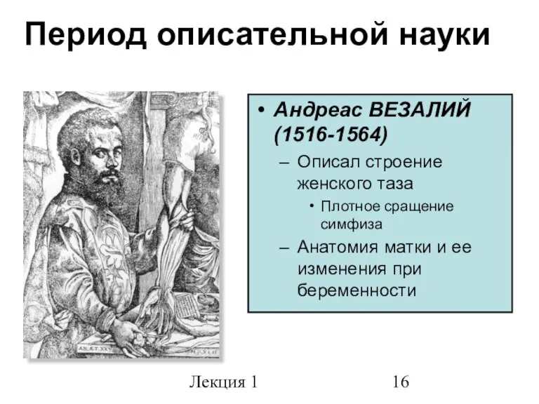 Лекция 1 Период описательной науки Андреас ВЕЗАЛИЙ (1516-1564) Описал строение женского таза