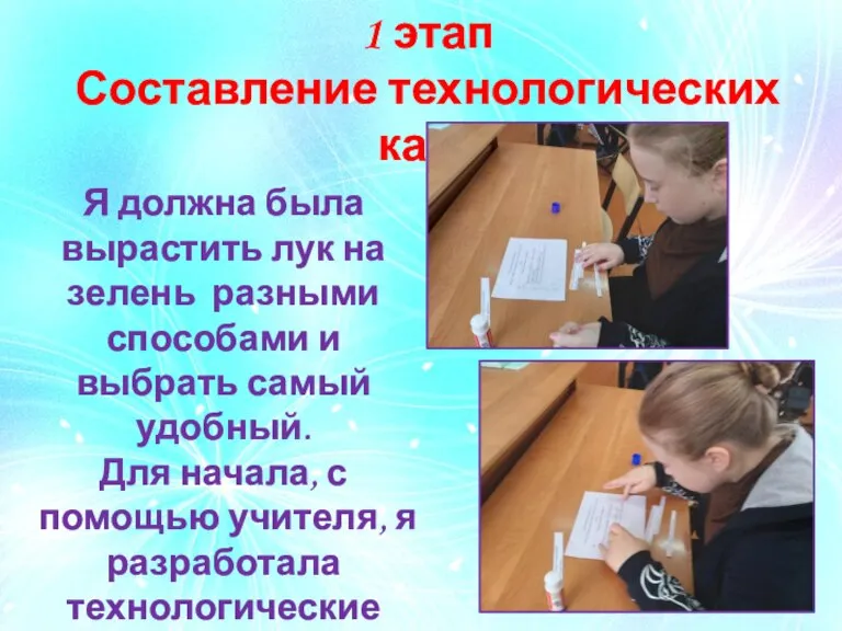 1 этап Составление технологических карт Я должна была вырастить лук на зелень