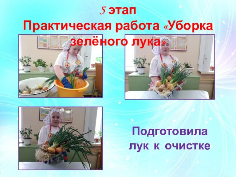 5 этап Практическая работа «Уборка зелёного лука» Подготовила лук к очистке