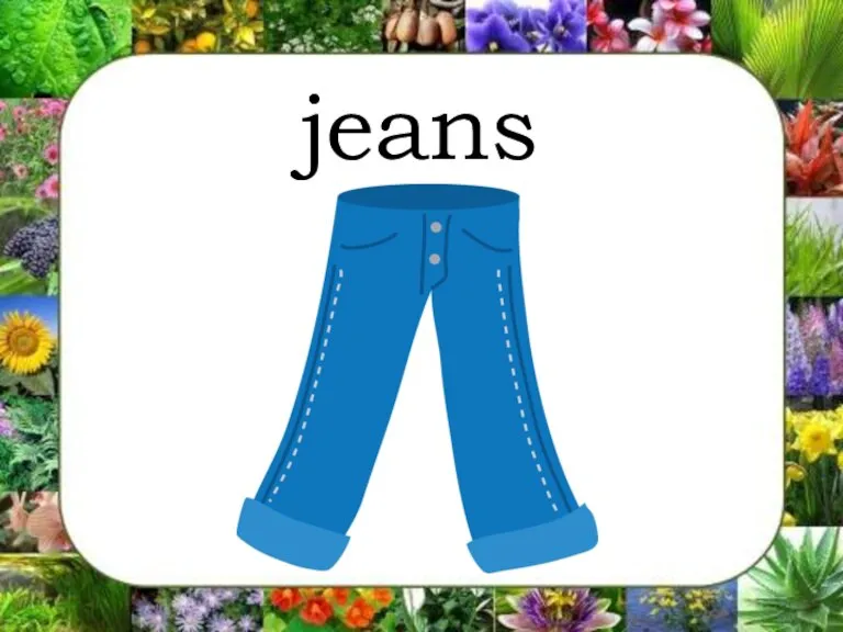 jeans