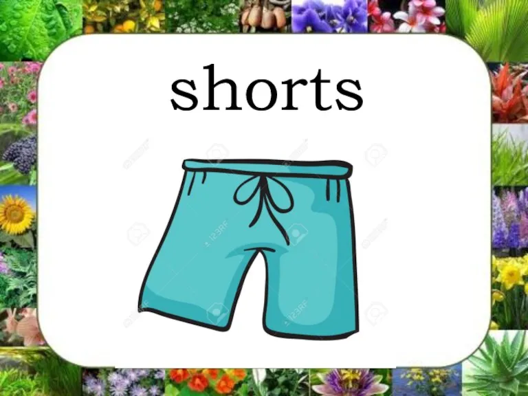 shorts