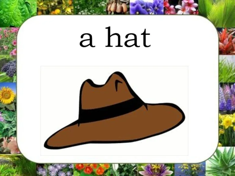 a hat