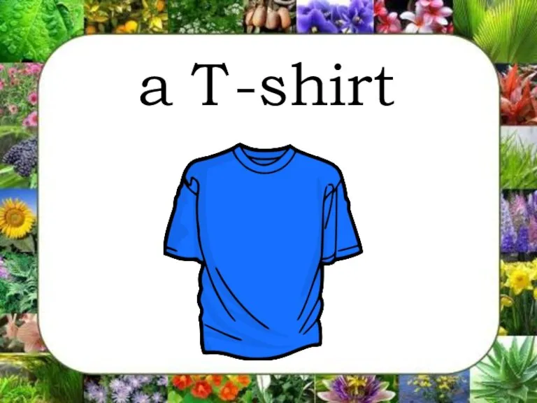 a T-shirt