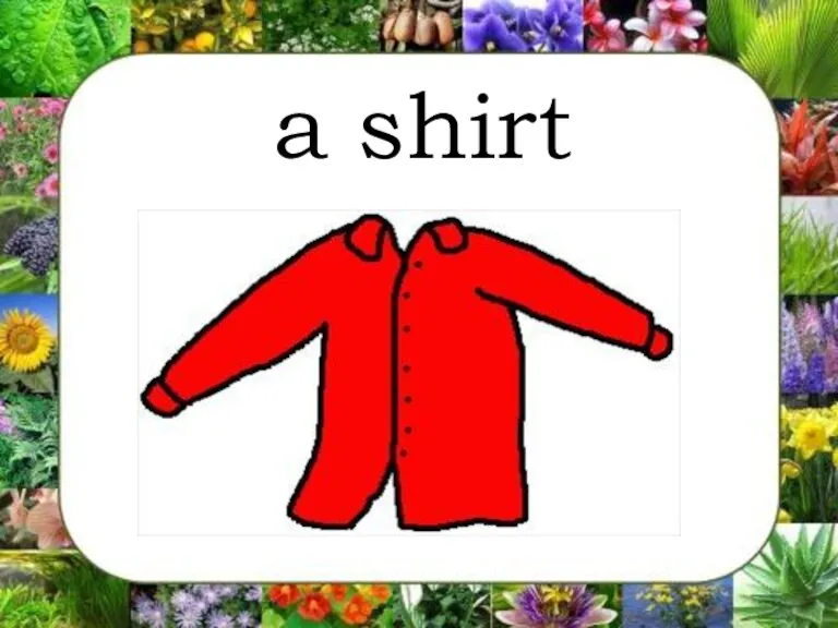 a shirt