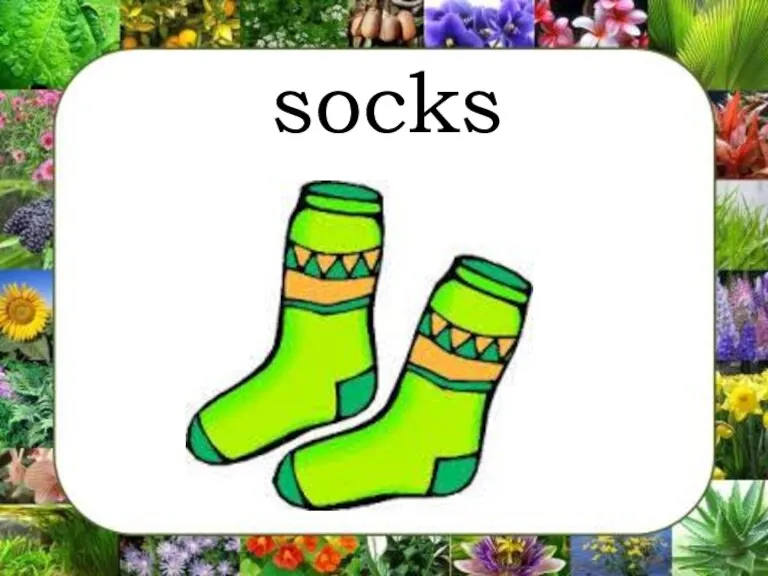 socks