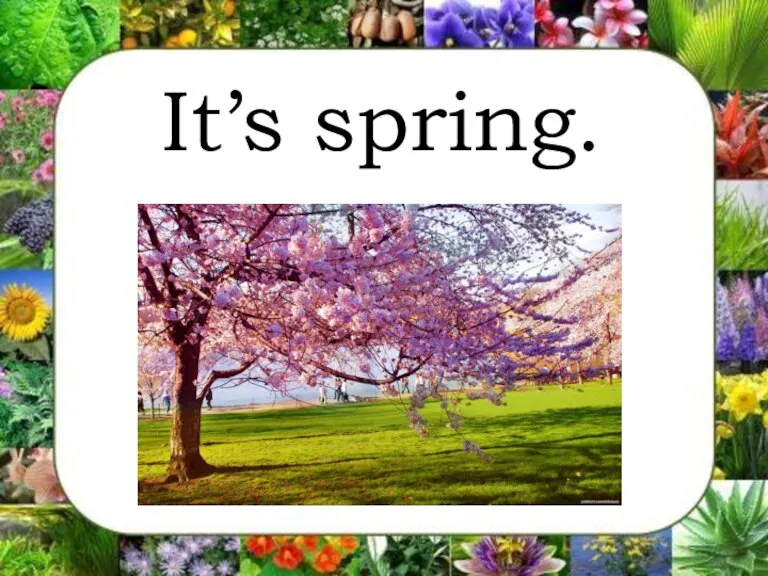 It’s spring.