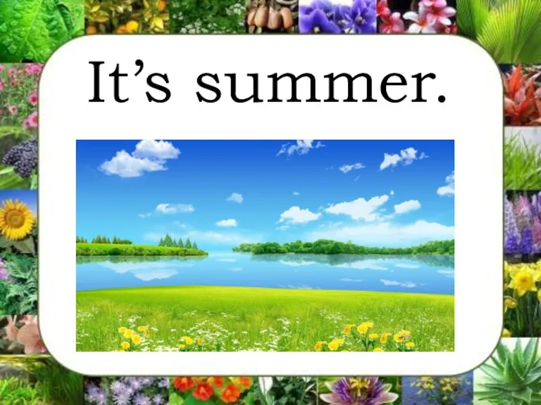 It’s summer.